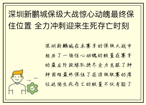 深圳新鹏城保级大战惊心动魄最终保住位置 全力冲刺迎来生死存亡时刻 深圳新鹏城保级大战惊心动魄最终保住位置 全力冲刺迎来生死存亡时刻